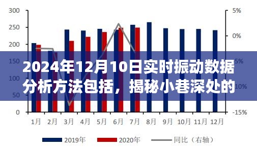 特色小店实时振动数据分析揭秘，探寻小巷深处的隐藏宝藏之旅