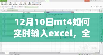 日期MT4实时输入Excel功能介绍与用户体验分析