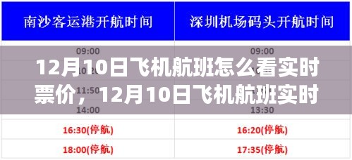 解读12月10日飞机航班实时票价波动，洞悉票价变化策略与趋势分析