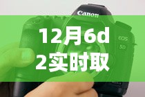 掌握技巧，轻松驾驭，12月6D2实时取景拍摄技巧与艺术探索