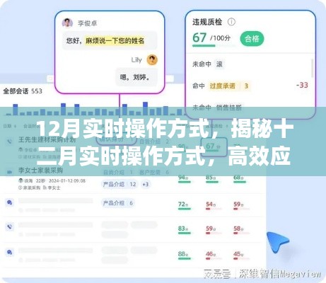 揭秘十二月实时操作策略，高效应对的关键策略实战指南