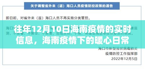 海南疫情下的暖心日常，友情与陪伴的故事，历年12月10日实时信息回顾