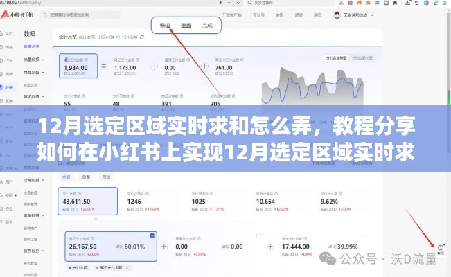 12月选定区域实时求和教程，小红书超详细步骤解析