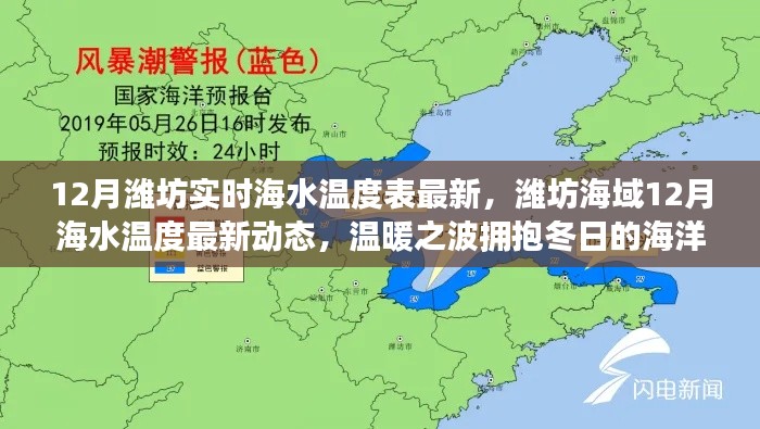 潍坊海域十二月海水温度实时更新，冬日温暖之波拥抱海洋