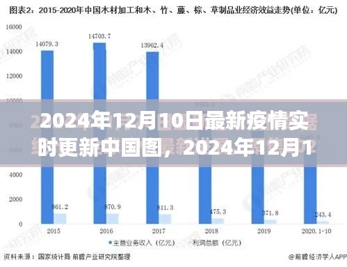 2024年12月10日中国疫情实时全景图，防控进展与数据解析