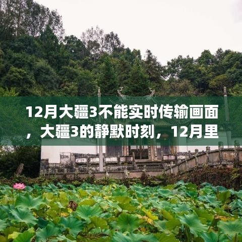 大疆3在静默时刻的静美探索之旅，12月画面传输问题解析