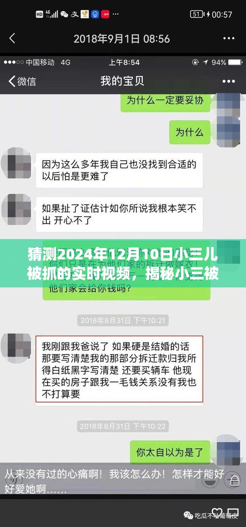 揭秘小三儿被抓事件，关于2024年12月10日的猜测与探讨视频曝光