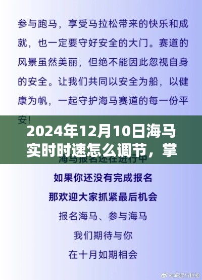 掌握未来！2024年海马实时时速调节全攻略，适合初学者与进阶用户