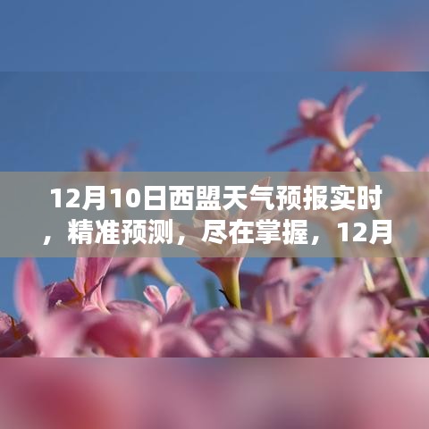 12月10日西盟天气预报实时全面解析与精准预测掌握