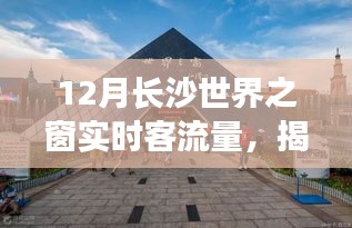 揭秘长沙世界之窗，十二月实时客流量解析