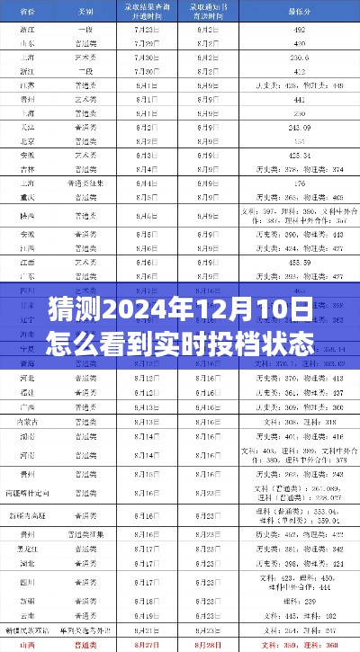 预测未来投档状态，实时查看2024年12月10日投档动态，小日常中的大梦想揭晓时刻