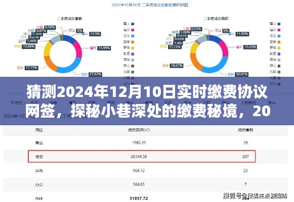 探秘缴费秘境，2024年实时缴费协议网签新纪元揭秘及预测分析。