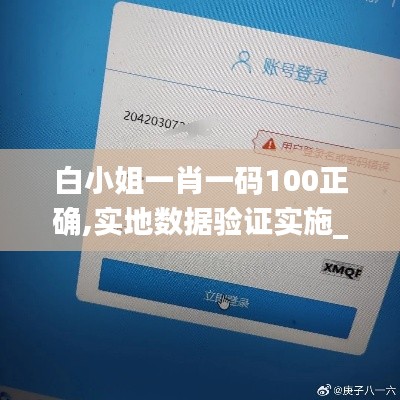 白小姐一肖一码100正确,实地数据验证实施_Max6.727