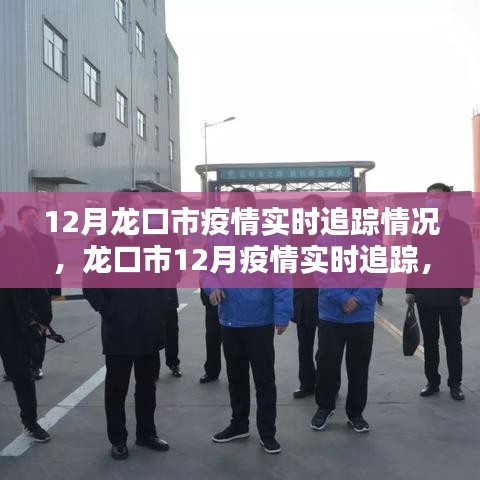 龙口市12月疫情实时追踪报告，最新动态与关键信息解析