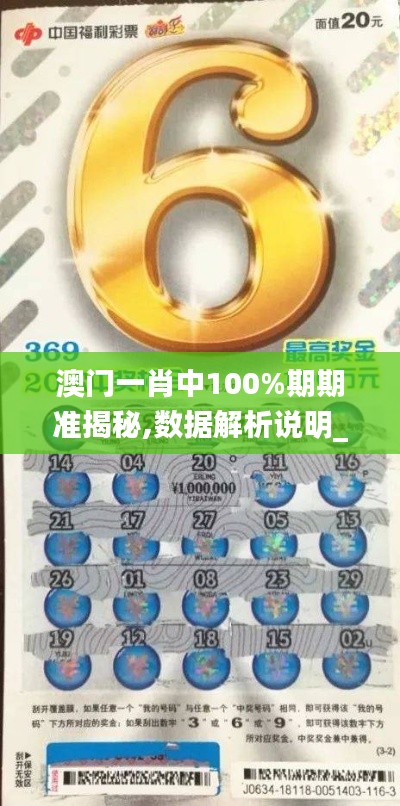 澳门一肖中100%期期准揭秘,数据解析说明_The8.369