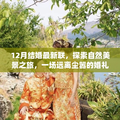 12月婚礼之旅，自然美景中的宁静与喜悦探索之旅