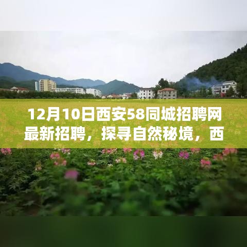 探寻自然秘境，西安58同城招聘网最新招聘活动，寻找内心的宁静与自我之旅