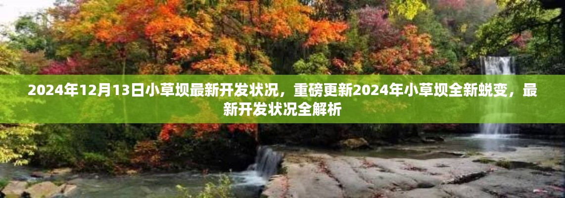 重磅更新！2024年小草坝全新蜕变与最新开发状况全解析