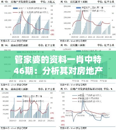 管家婆的资料一肖中特46期：分析其对房地产行业的投资洞见