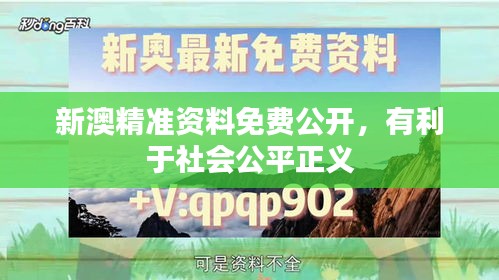 新澳精准资料免费公开，有利于社会公平正义