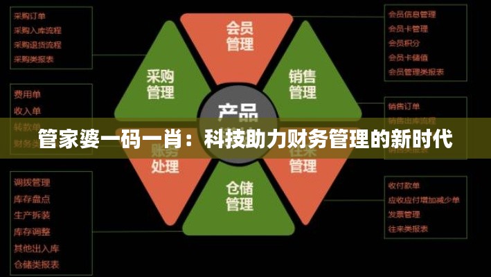 管家婆一码一肖：科技助力财务管理的新时代