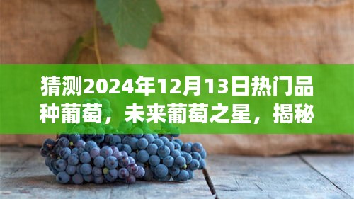 揭秘未来葡萄之星，预测2024年热门葡萄品种，学习变化助力自信与梦想实现之路