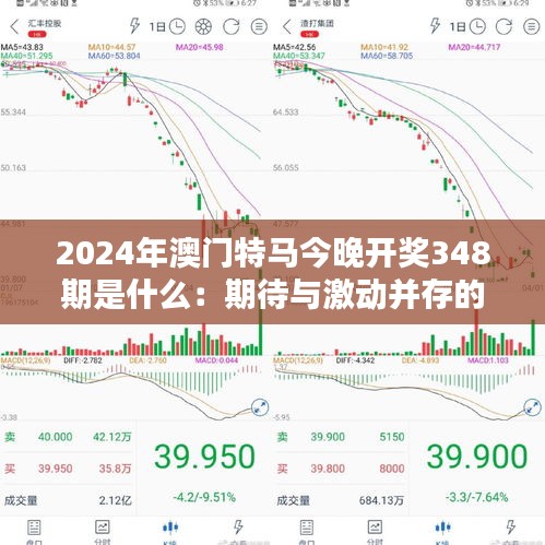 2024年澳门特马今晚开奖348期是什么：期待与激动并存的时刻