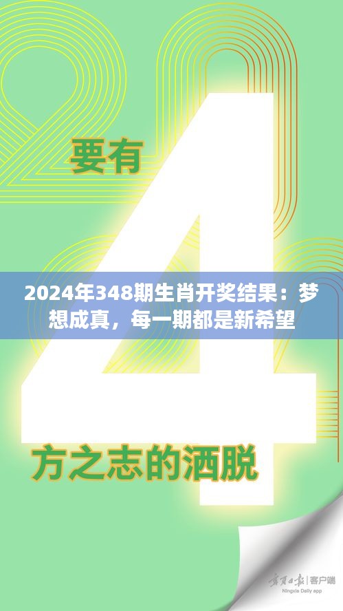 2024年12月13日 第11页