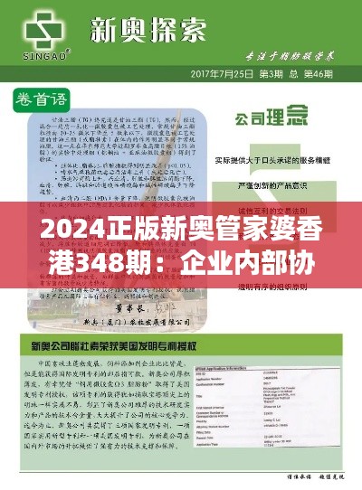 2024正版新奥管家婆香港348期：企业内部协作的加速器