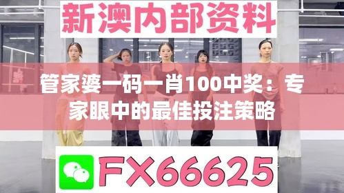 管家婆一码一肖100中奖：专家眼中的最佳投注策略