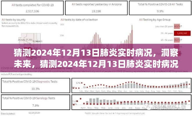 2024年12月13日肺炎实时病况预测，演变趋势与应对策略洞察