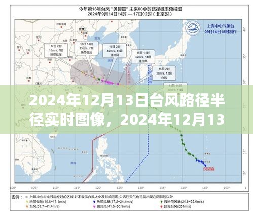 2024年12月13日台风路径半径实时图像及分析