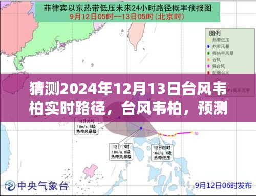 关于台风韦柏的预测路径与影响，韦柏台风实时路径探析（2024年12月13日版）