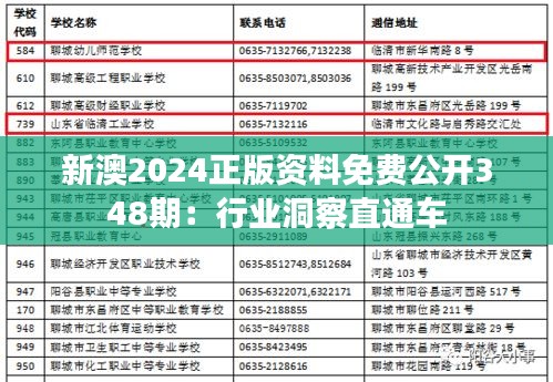 新澳2024正版资料免费公开348期：行业洞察直通车