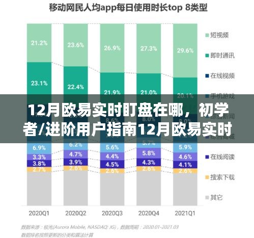 初学者与进阶用户指南，12月欧易实时盯盘步骤详解及位置解析