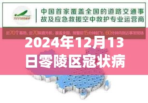 零陵区冠状病毒实时追踪报告（最新更新至2024年12月13日）