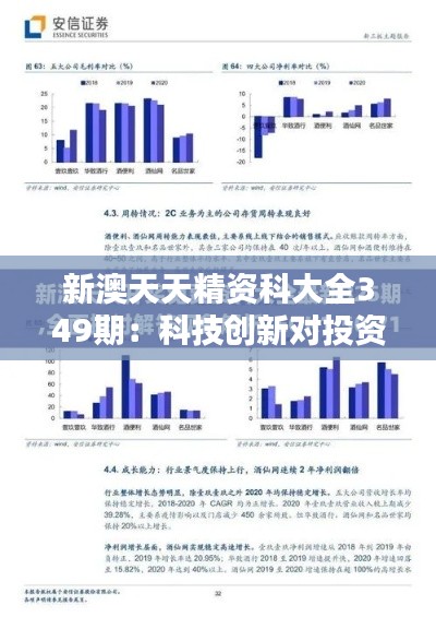 新澳天天精资科大全349期：科技创新对投资的影响