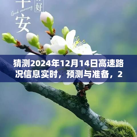 深度解析，预测与准备高速路况信息——2024年12月14日实时路况展望