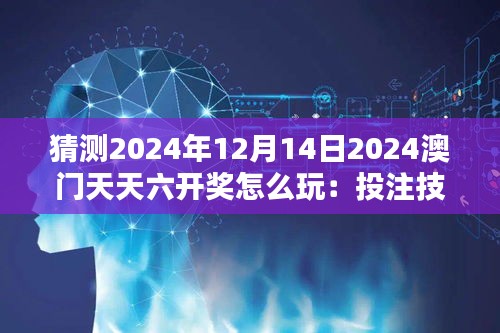 猜测2024年12月14日2024澳门天天六开奖怎么玩：投注技巧与风险管理的艺术