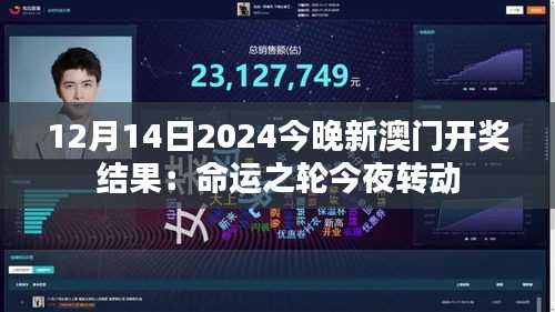 12月14日2024今晚新澳门开奖结果：命运之轮今夜转动