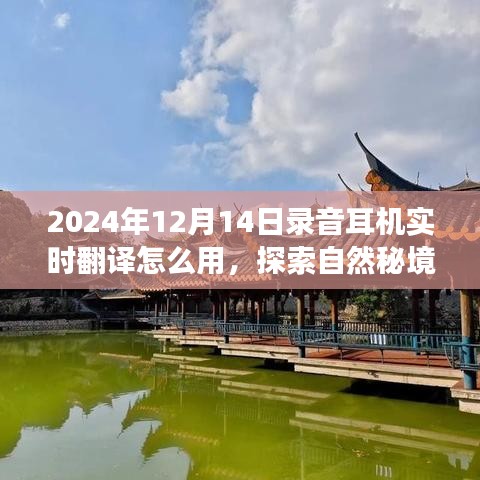 录音耳机实时翻译功能助力探索自然秘境，梦幻之旅指南（2024年12月14日版）