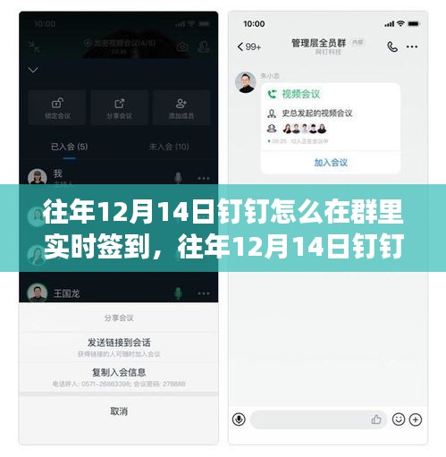往年12月14日钉钉群实时签到方法与技巧，技术操作与规则探讨的双重视角。