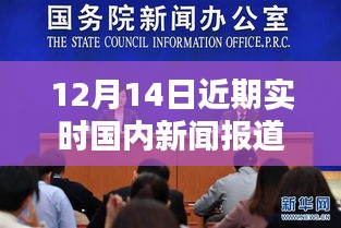 12月14日国内新闻报道汇总，实时动态与各方观点分析