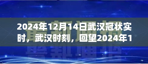 回望与展望，武汉冠状事件深度影响与历程回顾