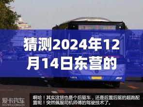 2024年12月15日 第27页