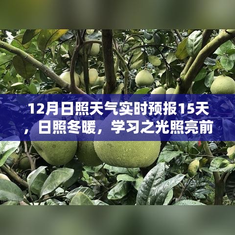 日照冬暖学习之光，实时天气预报与温暖同行，前行每一步照亮前行