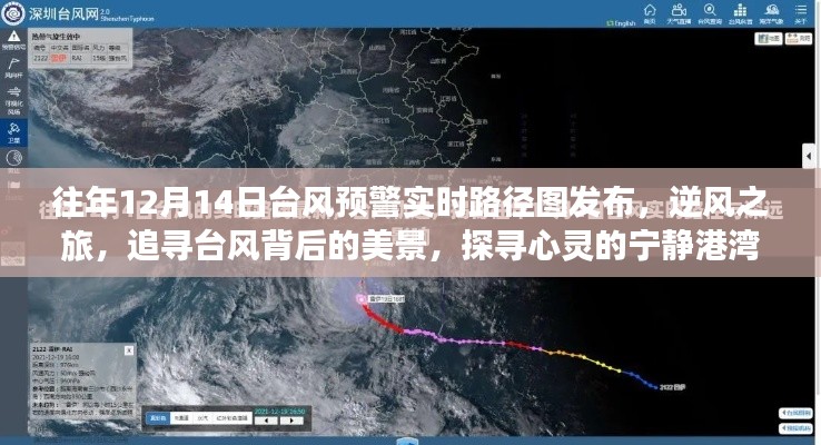 逆风之旅，追寻台风背后的美景与心灵港湾的宁静 —— 历年台风预警实时路径图发布纪实