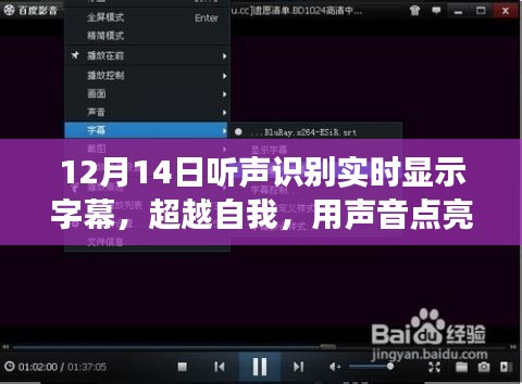 超越自我，声音点亮字幕世界，听声识别实时显示字幕技术的励志之旅