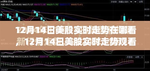 12月14日美股实时走势观看平台选择与深度分析