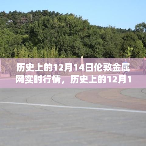 历史上的12月14日伦敦金属网实时行情深度解析，洞悉市场波动与机遇的门户